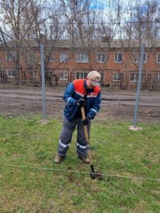    Сотрудники филиала «Оренбургэнерго» приняли участие в акции «Аллея памяти» Марина Шарт
