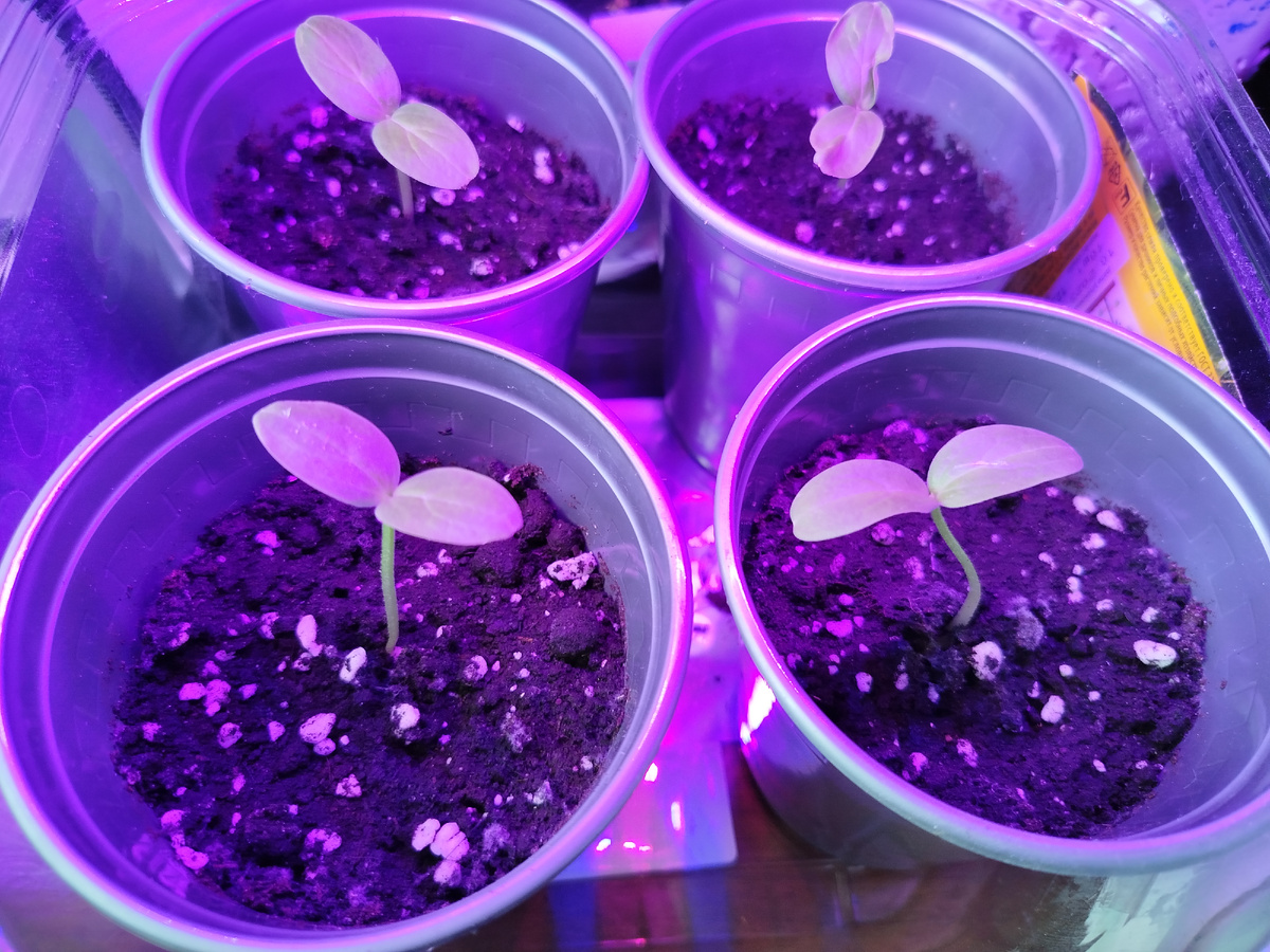 Фото автора " Жизнь в селе "