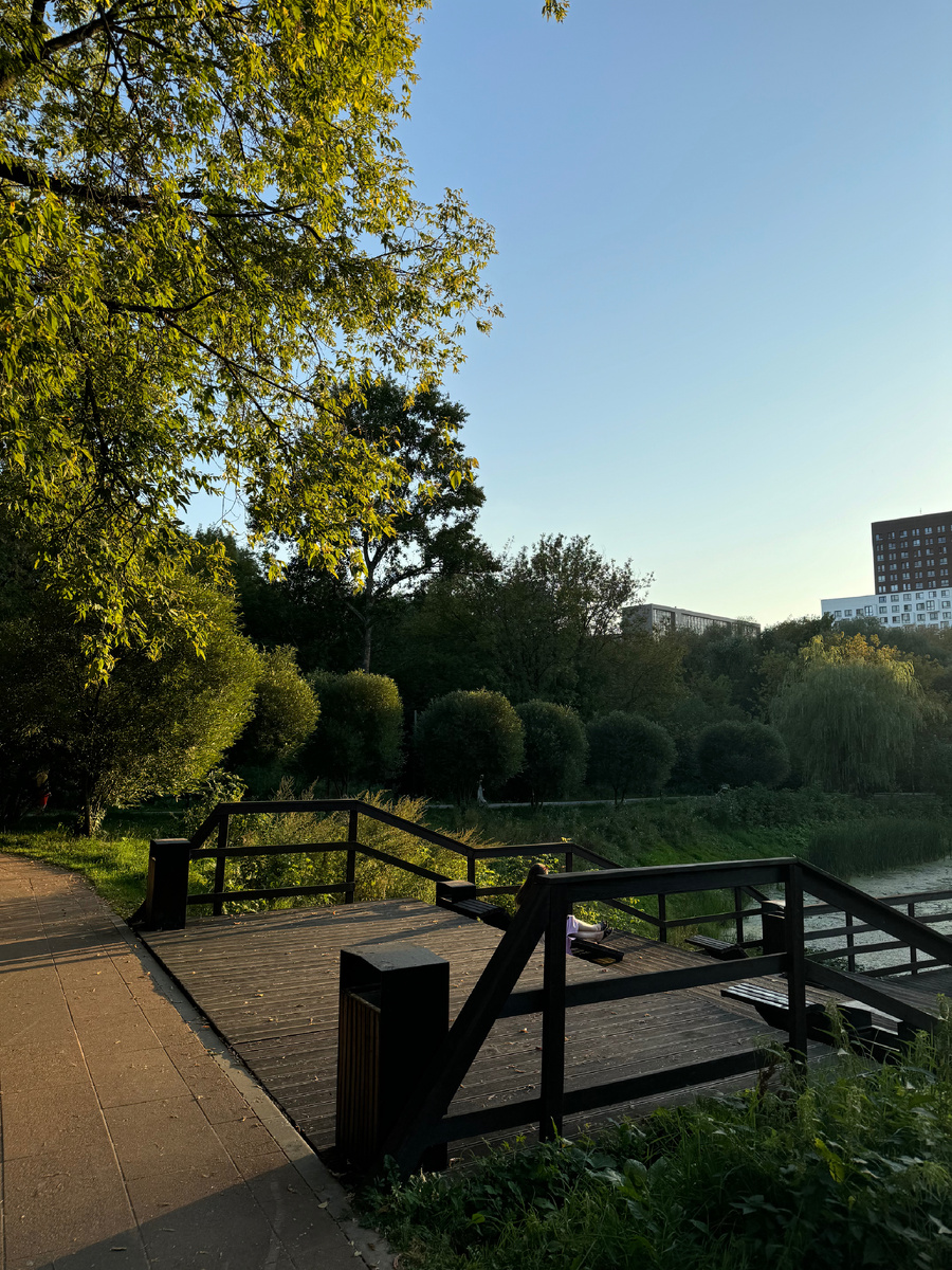 Бегала в парке Свибловские пруды