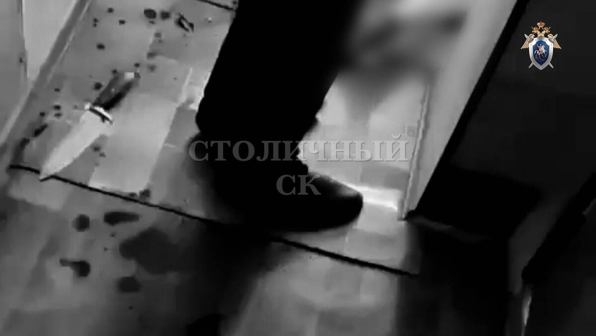 Фото: t.me/skmoscowgsu