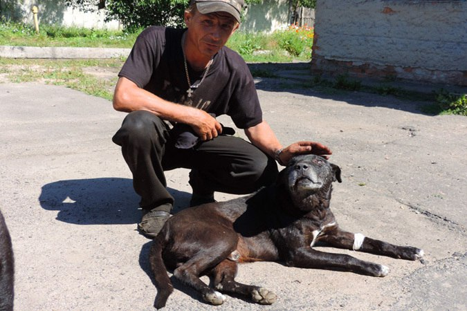 Пес-охранник спас бухгалтера предприятия от гадюки