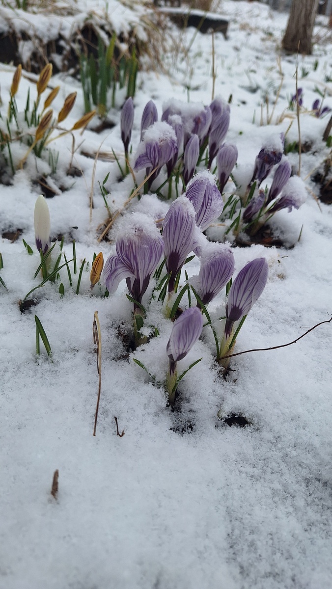 Фото автора. 