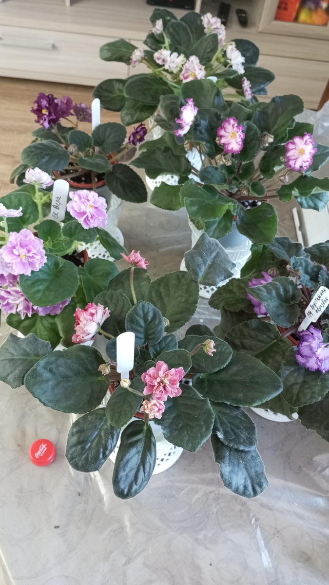 Моя сегодняшняя жизнь