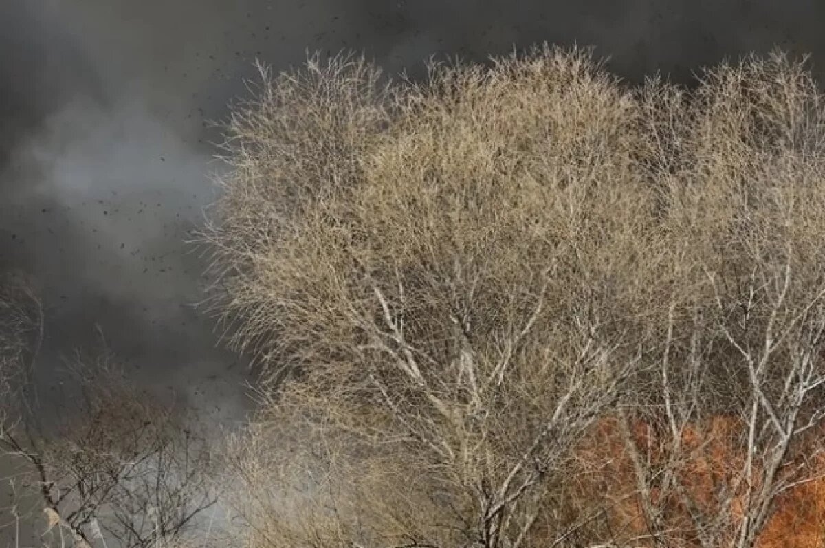    Астраханскую область назвали регионом с высокой пожароопасностью