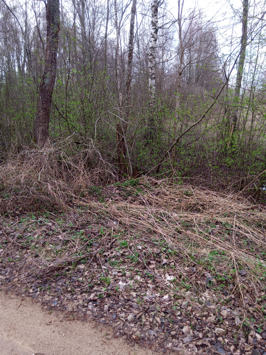 А у нас уже весна. 😜