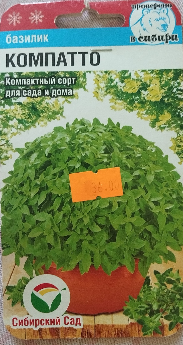 Листайте галерею, чтобы прочитать подробное описание сорта Компатто.