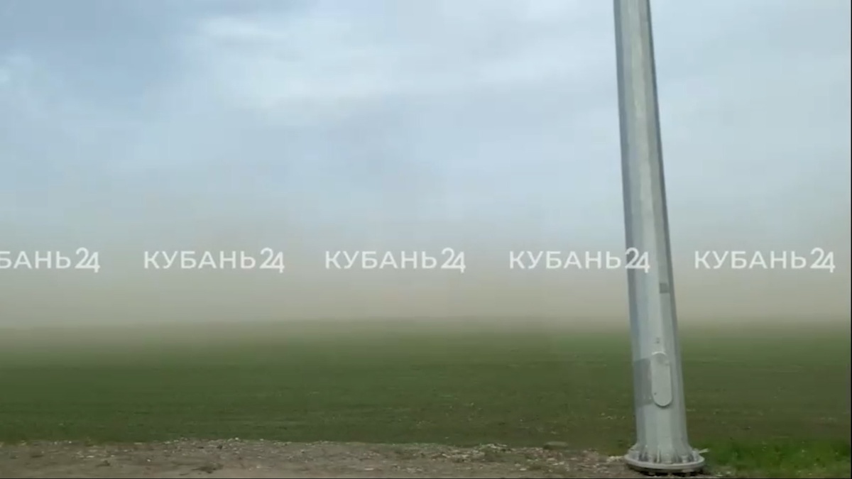    Фото: соцсети