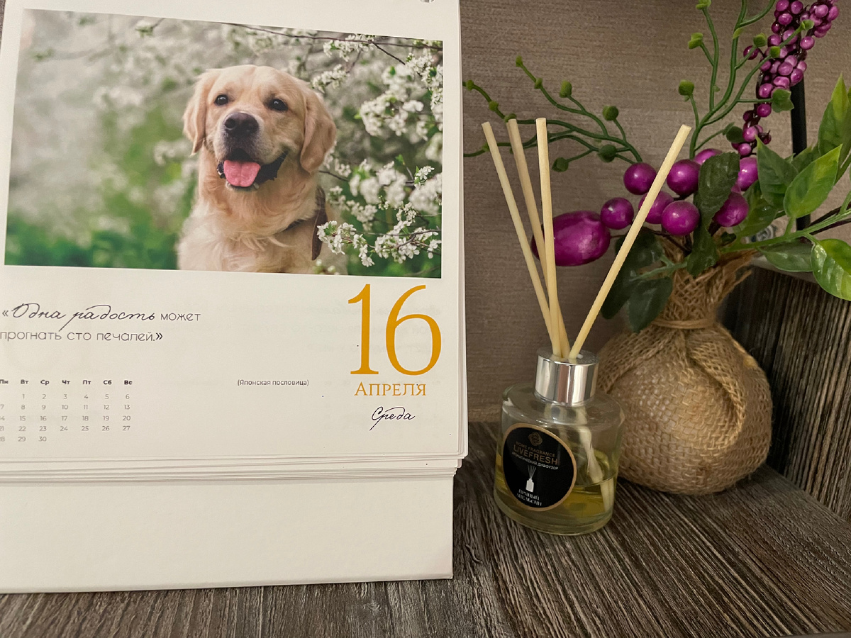 Напоминаю, что сегодня 16 апреля