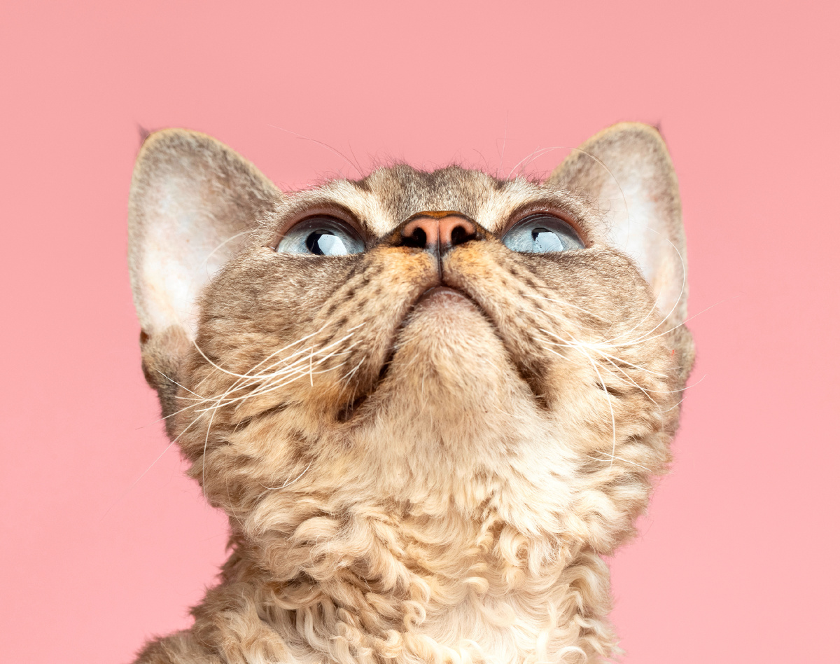 Фото из открытых источников интернета.