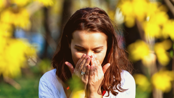 "Какая кгасота!" - именно так многие реагируют на цветение и ароматы весны (фото из открытых источников)