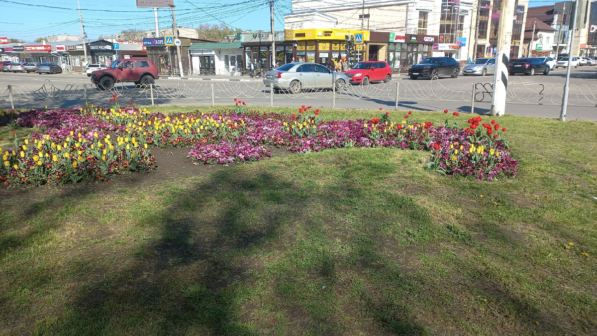 Цветы на пересечении Красная/Ворошилова