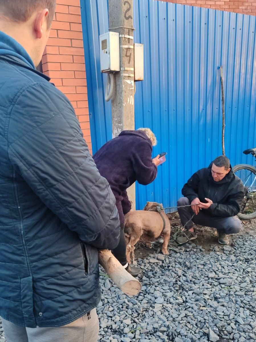 Мужчины поймали животное. Когда пес стал вырываться, связали. Фото: предоставлено очевидцами