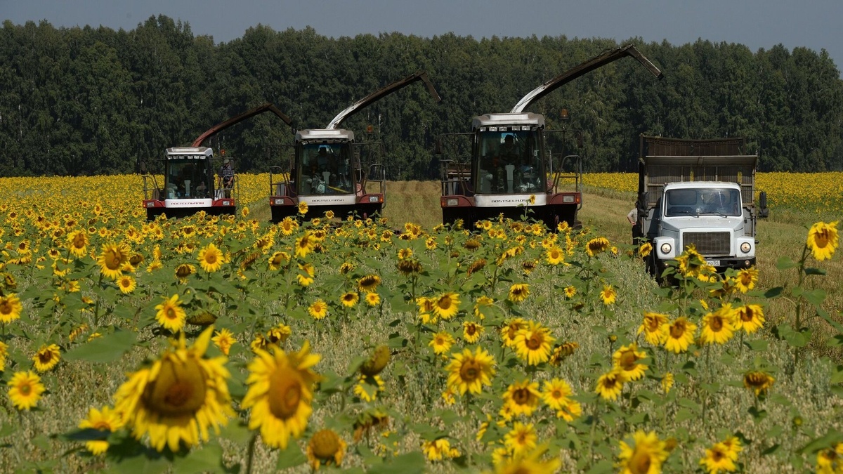 Фото: РИА Новости / Александр Кряжев