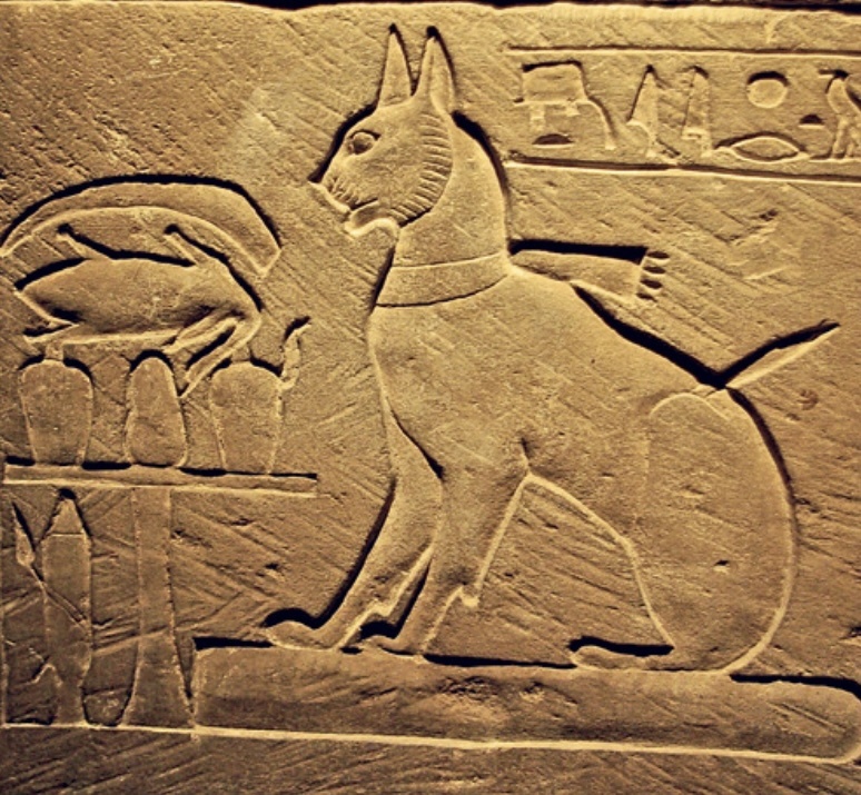 Рисунок : lazorini/ Wikipedia commons . Org