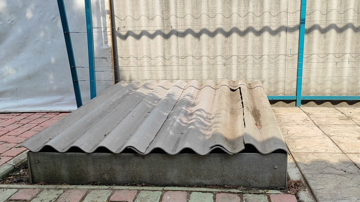 Легкое укрытие винограда.