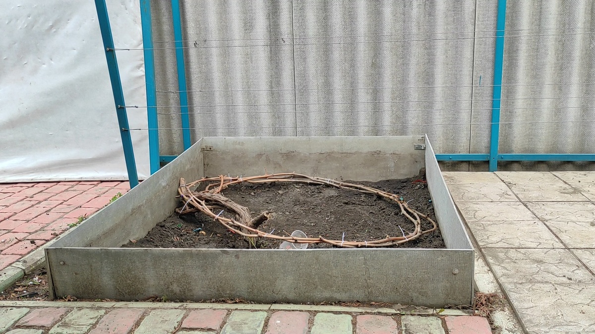 Снял крышку укрытия и убрал утеплитель.