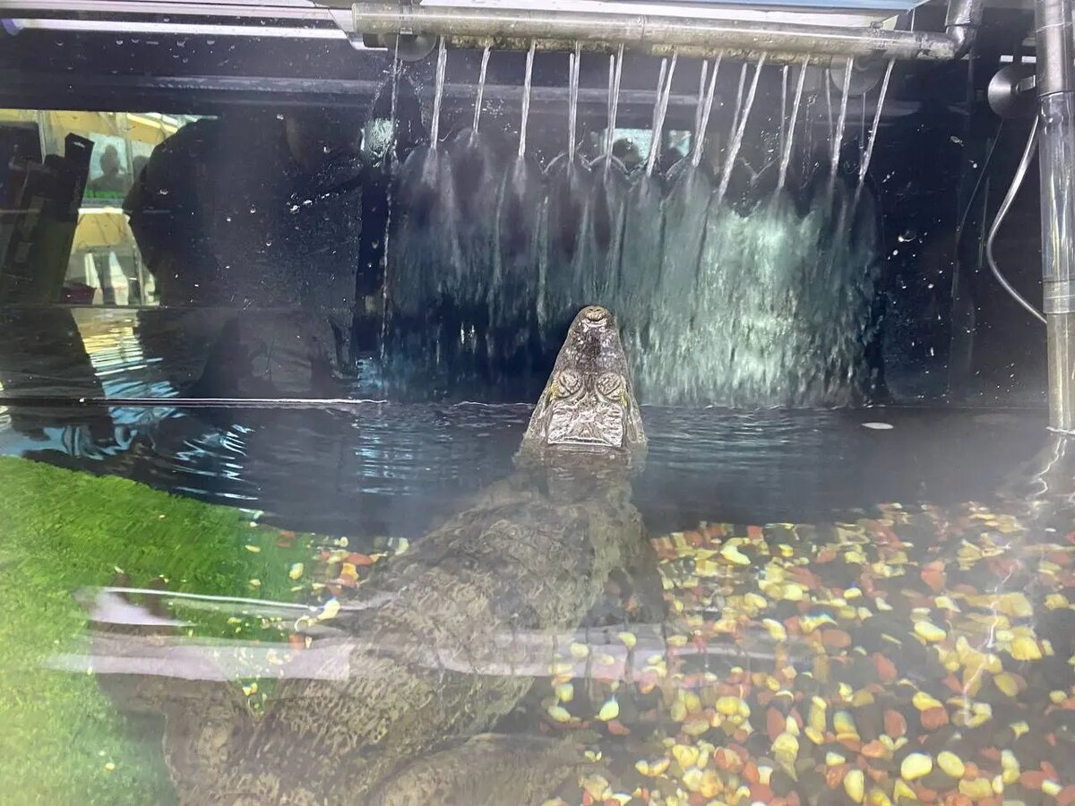    Фото: пресс-служба СЗМУ Росприроднадзора