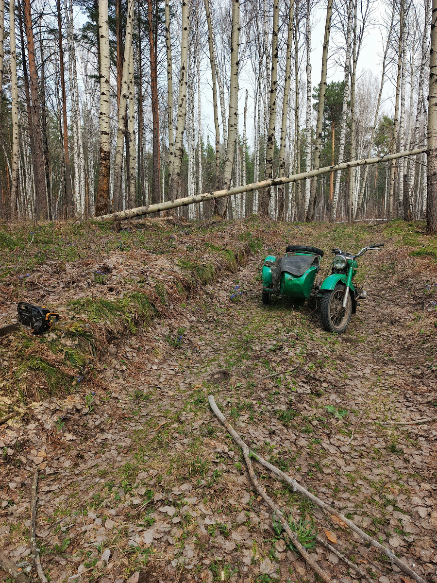 Согласитесь есть в немопределенный шарм - подбит но не сломлен