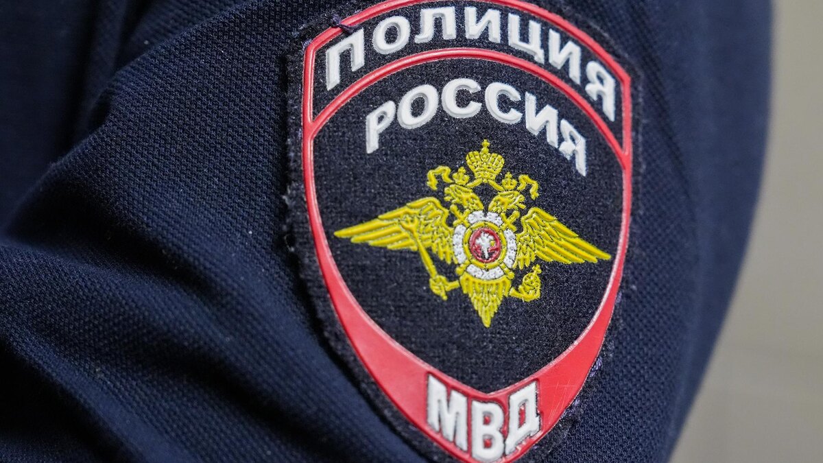    Фото: ИЗВЕСТИЯ/Эдуард Корниенко