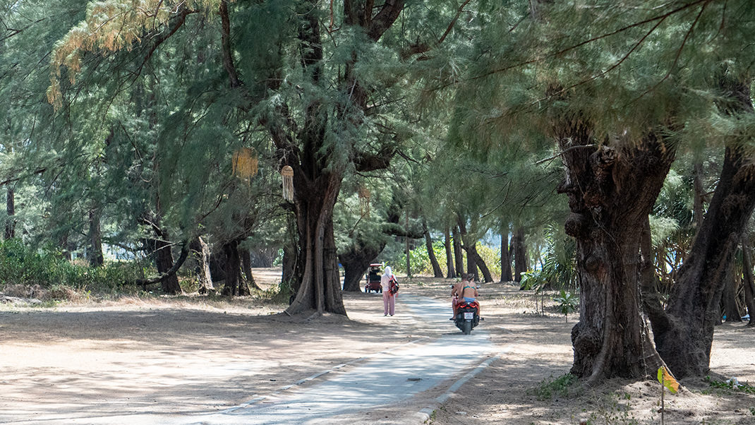 Пешеходная тропа