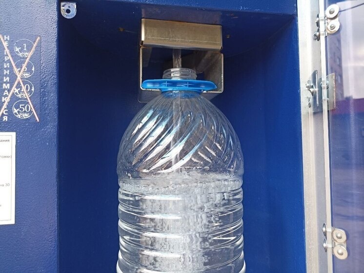     Фетоплацентаная недостаточность — это нарушение транспортировки кислорода и питательных веществ от матери к плоду. Фото: Архив МК в Великом Новгороде