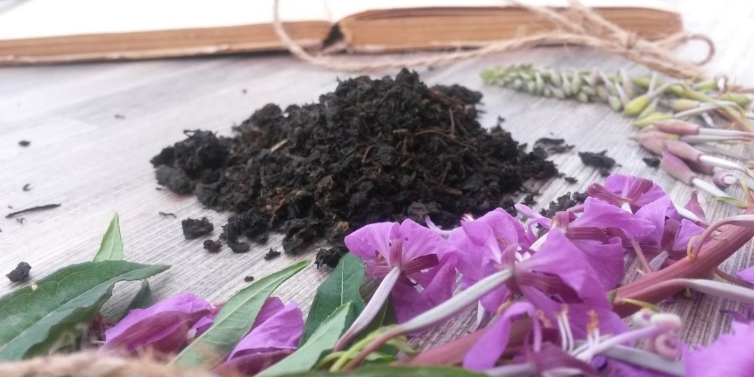 Иван-чай: забытый напиток русских богатырей. Почему его пили на Руси?