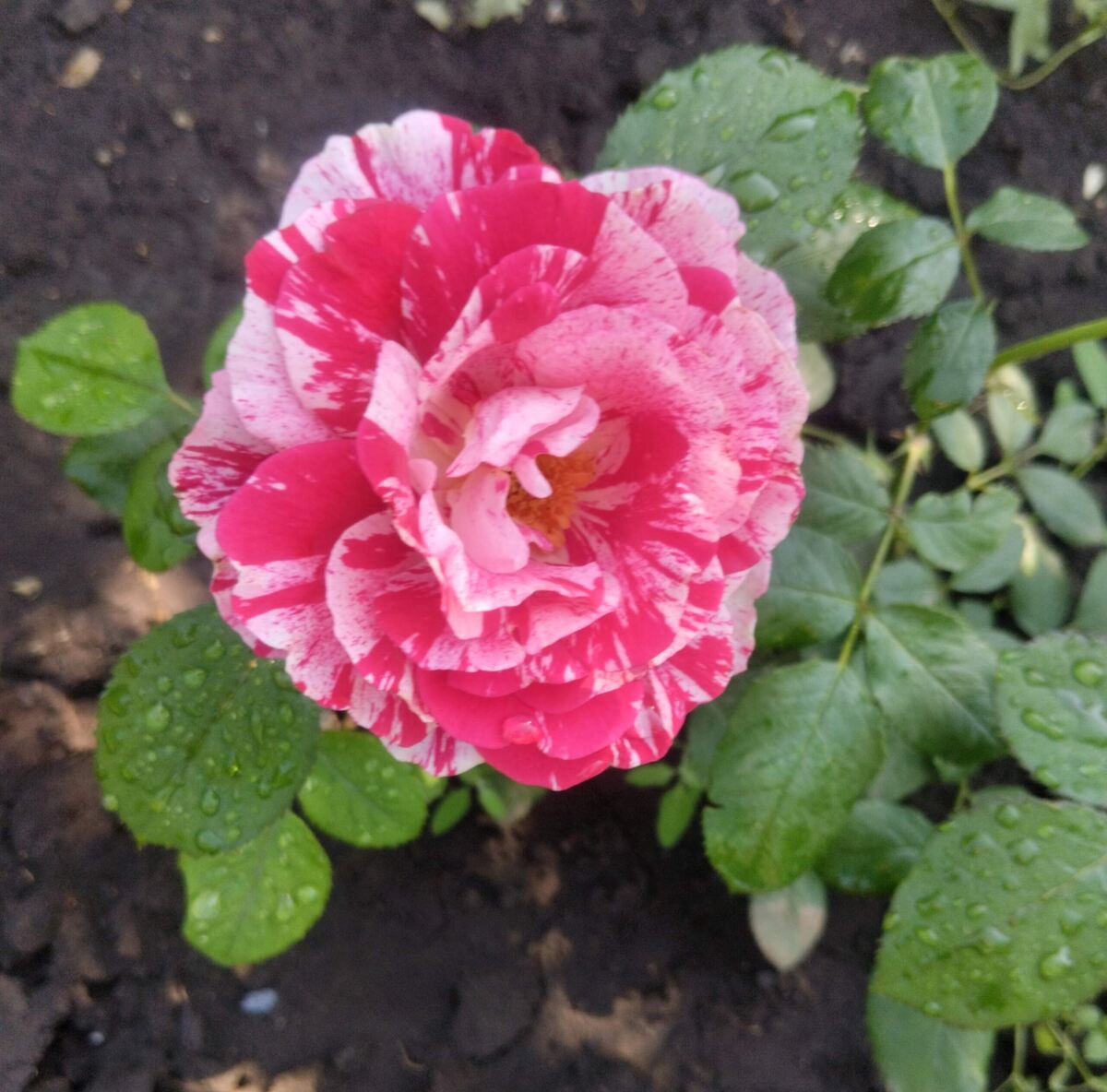 фото Татьяны