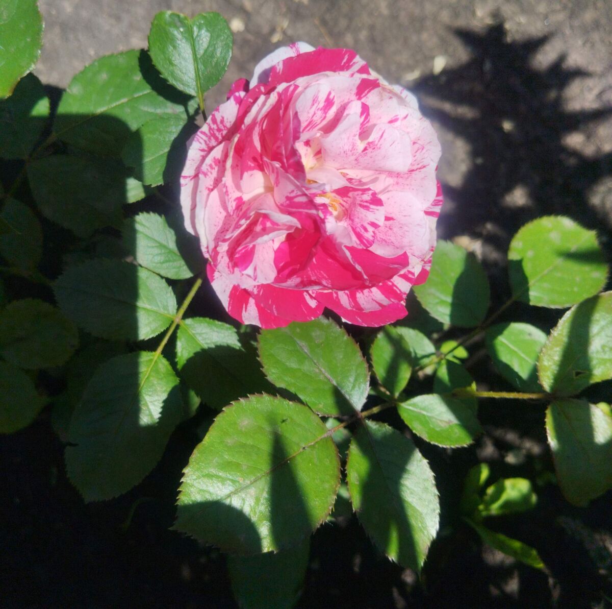 фото Татьяны