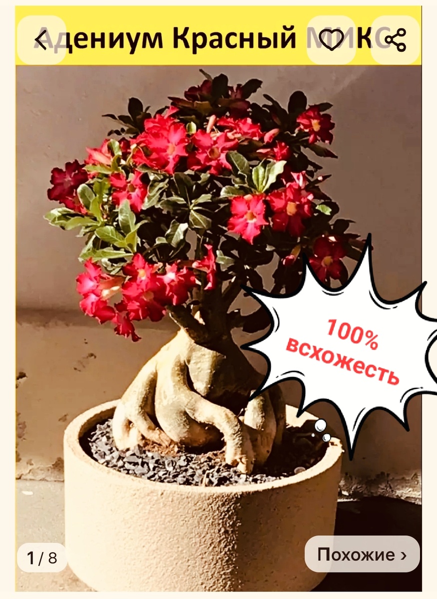 Скрин с сайта ВБ