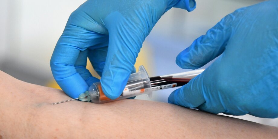 Фото: Фото: Москва 24/Антон Великжанин