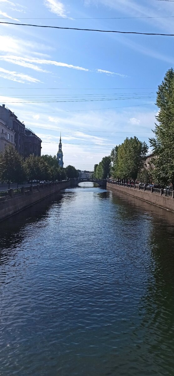 Личное фото. 2024г.