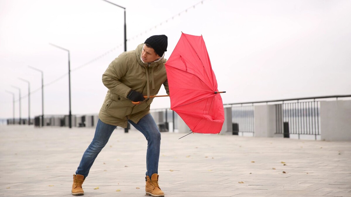    Фото: New Africa/Shutterstock/Fotodom