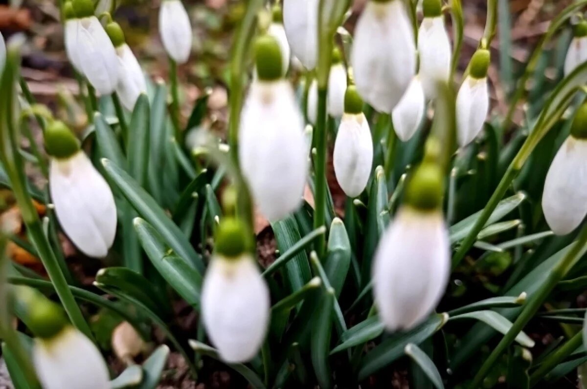    В Тверской области к выходным потеплеет до +24 градусов