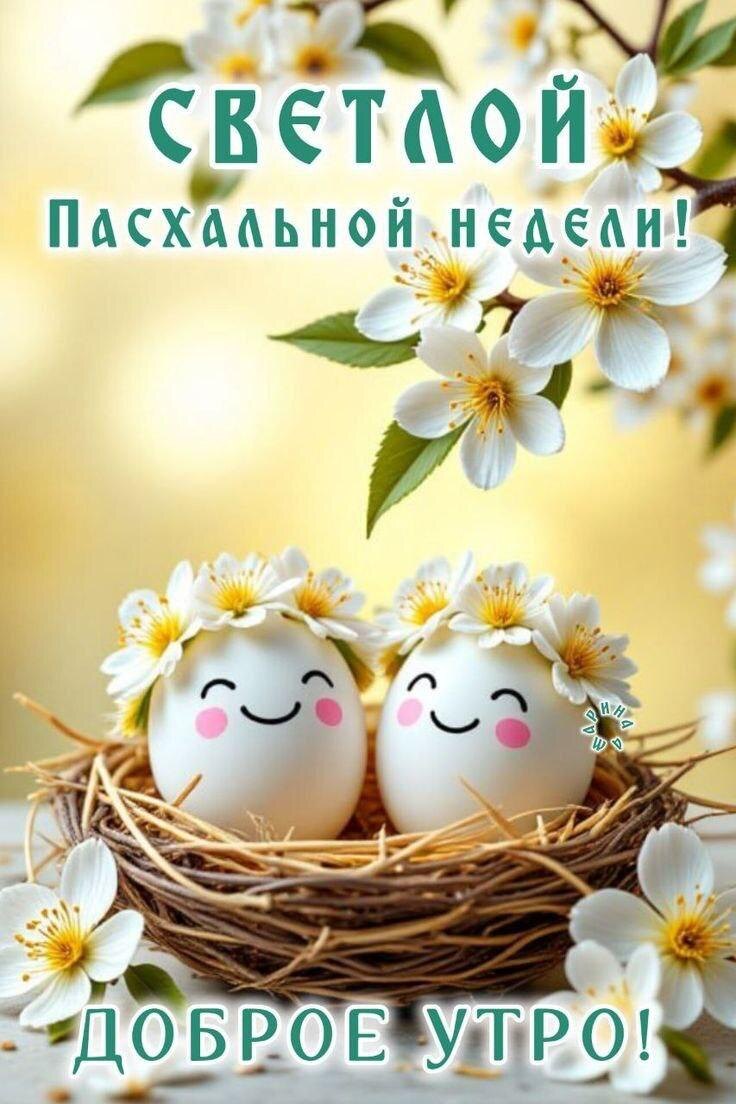 Открытка с просторов интернета. 