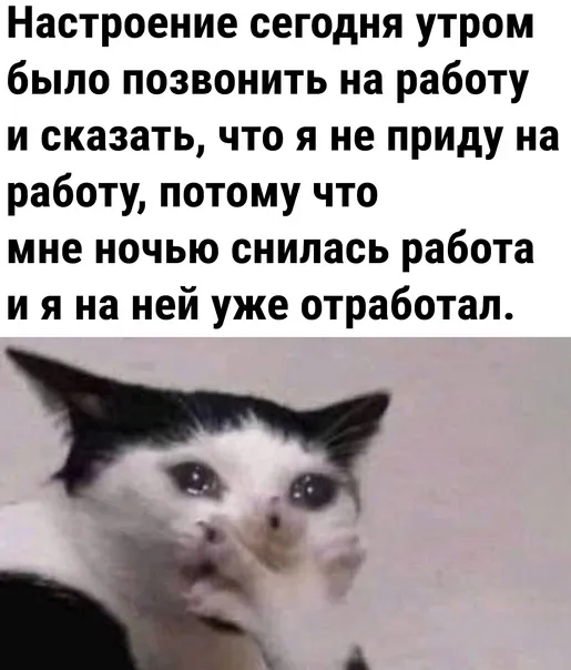 А вам работа снится по ночам?)))