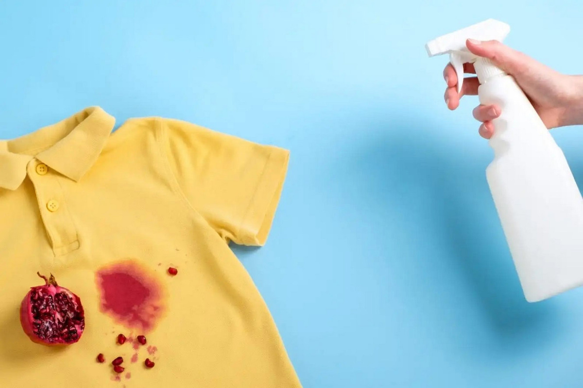    Фото: Shutterstock.com