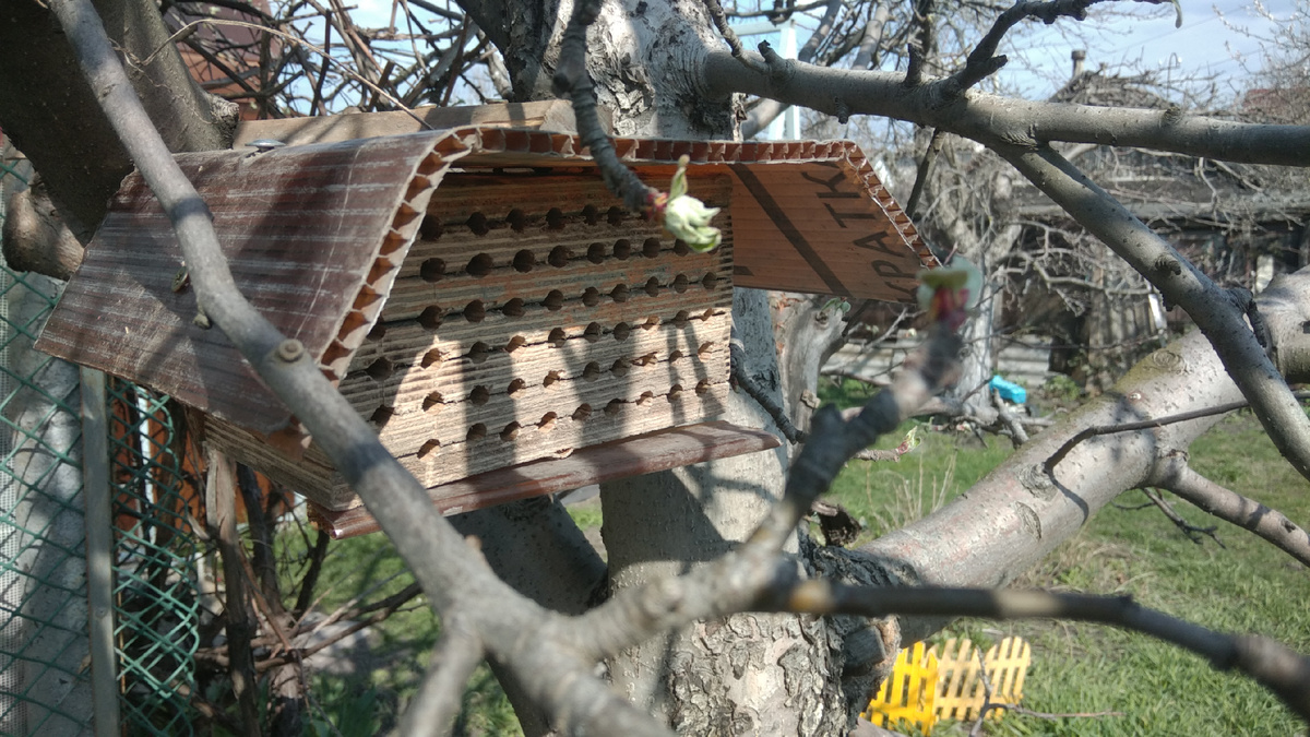 Улей в сборе