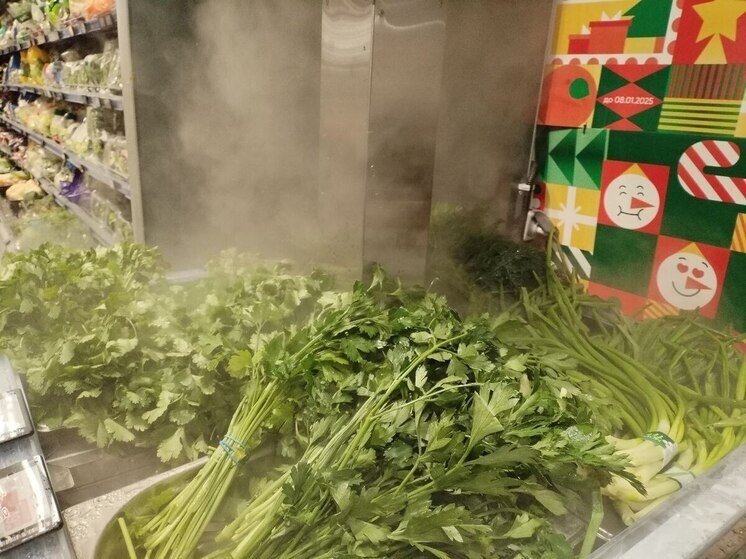     Любая зелень содержит пищевые волокна, благотворно влияющие на микробиоту кишечника. Фото: Архив МК в Великом Новгороде