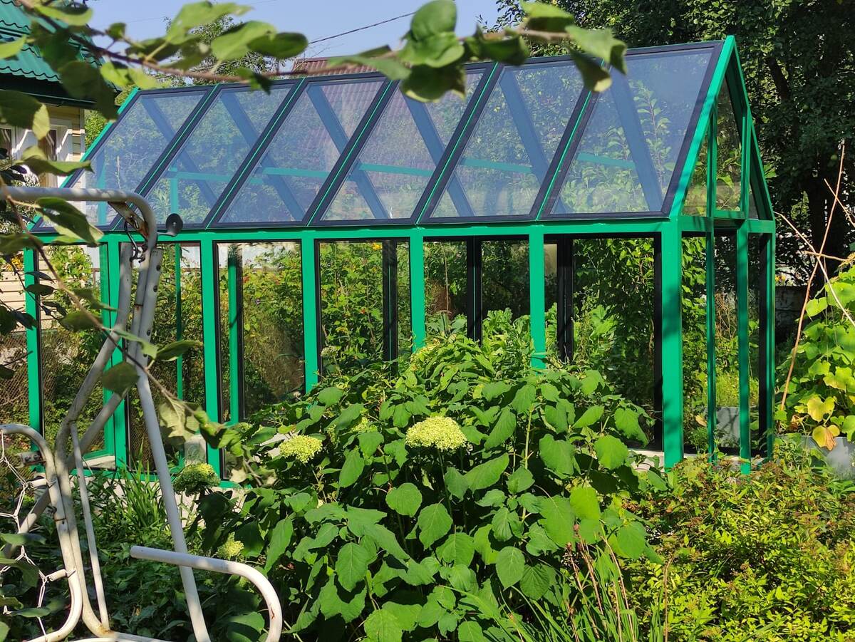 Общий вид на нашу теплицу