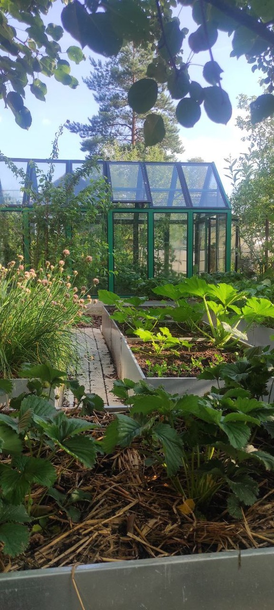 Вид на теплицу со стороны огорода