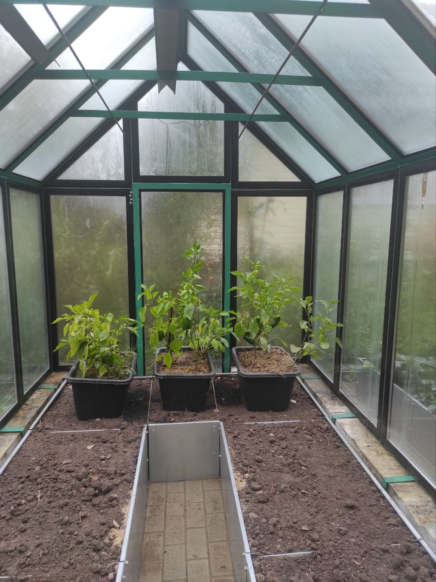 грядки в теплице