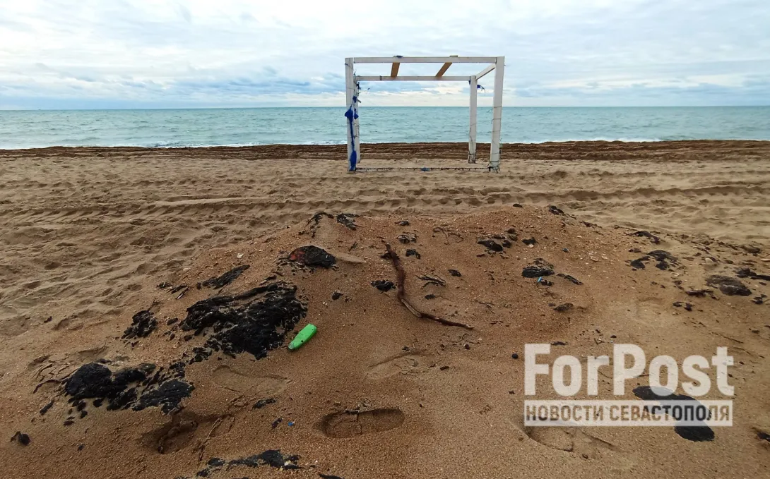 Фото:
Алексей Лохвицкий / ForPost