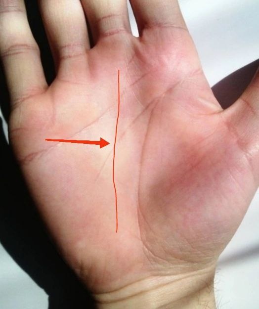 Фото из интернета 