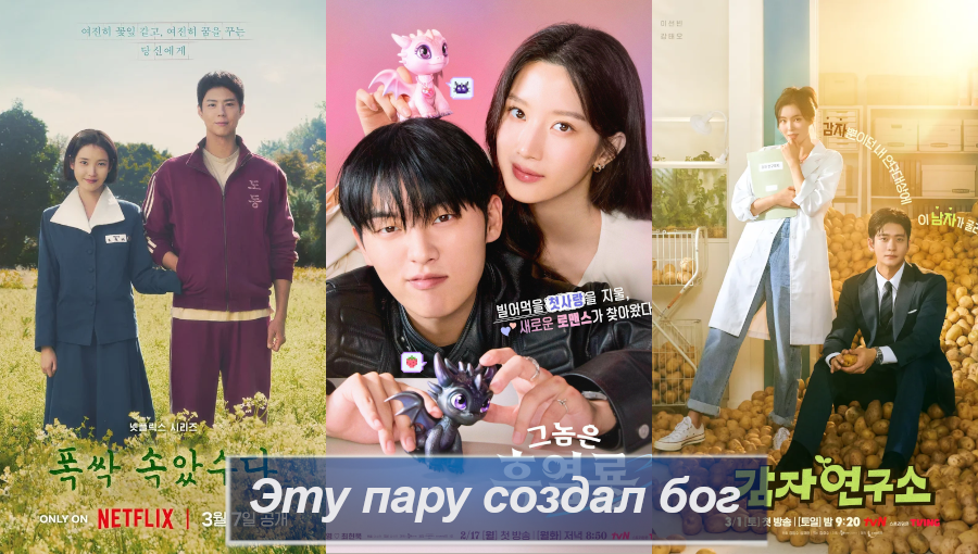 Обложка создана автором 