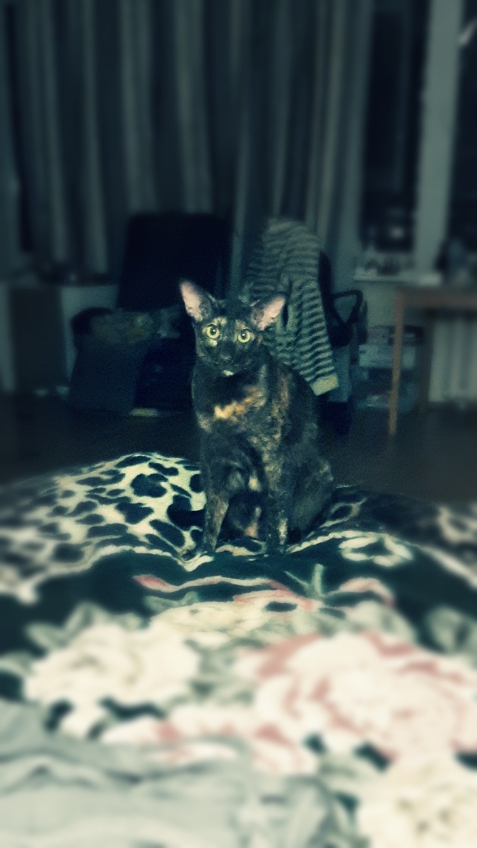 Фирменный взгляд. Вот такой ты человек, оказалась, мамаша! С гнильцой...