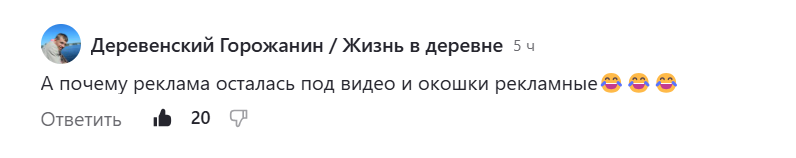 Комментарий под статьёй дзена