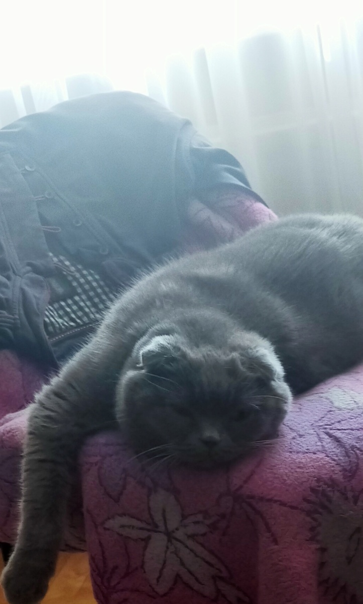 Фото автора.