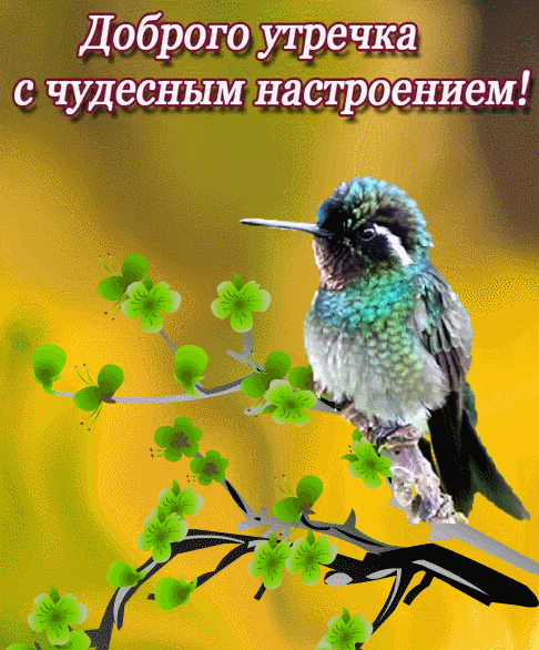 Фото из Pinterest.