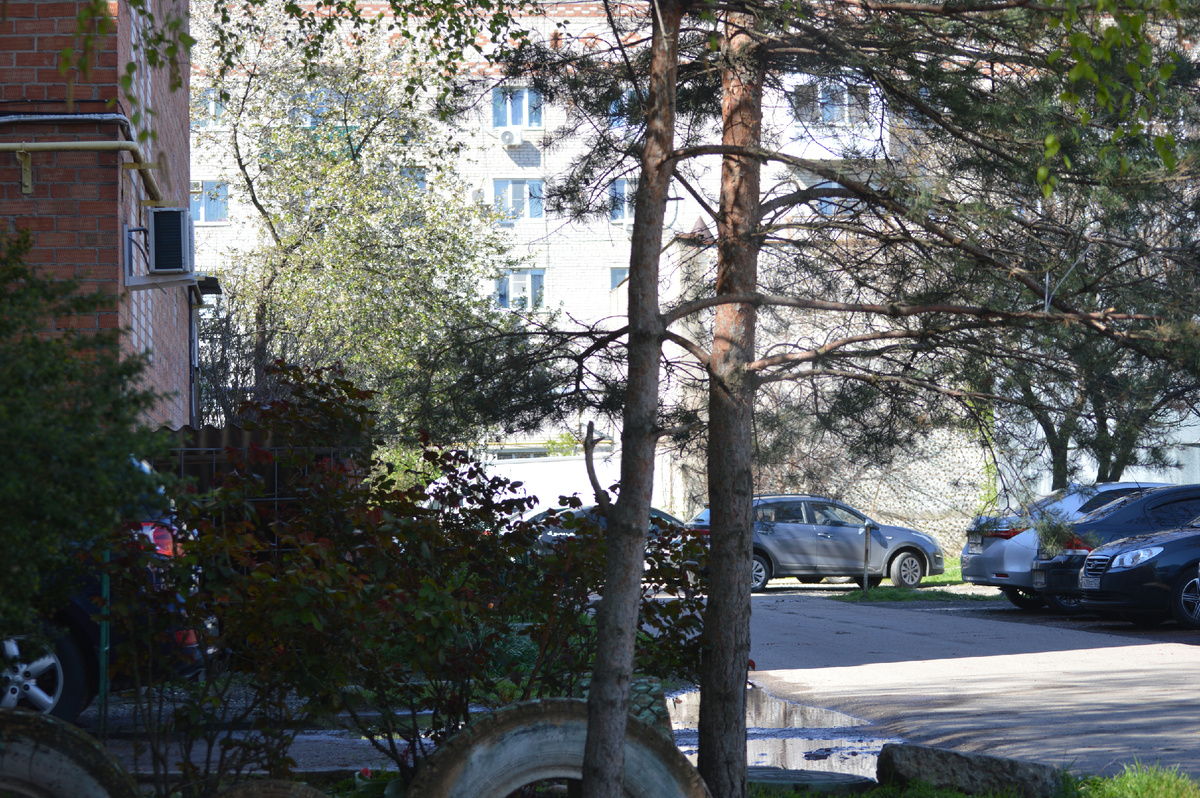 Фото автора 14.04.2025. Весна в городской черте.