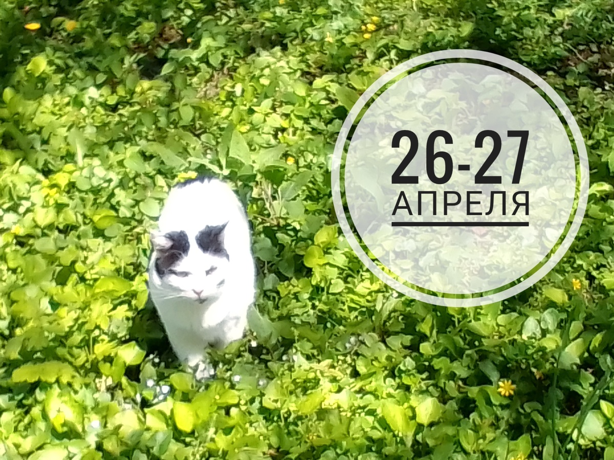 #нумерология 26 и 27 апреля 2025 года